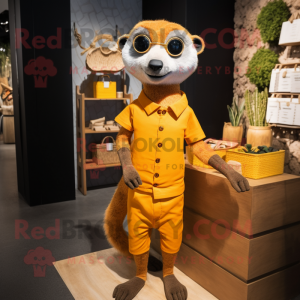 Orange Meerkat maskot...