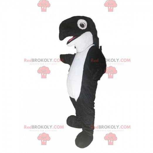 Black and white killer whale mascot. Orca costume -
