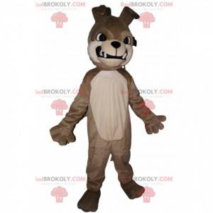 Mascot aggressive gray bull-dog. Bull dog costume -