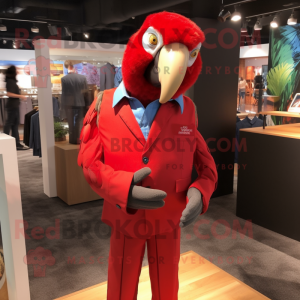 Rød Macaw maskot drakt...