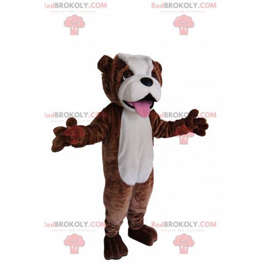 Brown and white bull dog mascot. Bull dog costume -