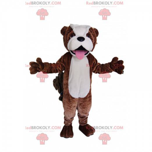 Brown and white bull dog mascot. Bull dog costume -