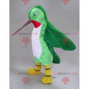 Hummingbird maskot grön vit och röd med en lång näbb -