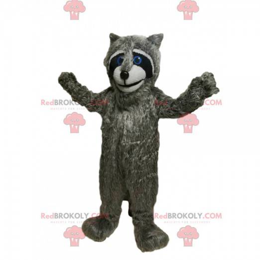 Mascot mapache gris con hermosos ojos azules! - Redbrokoly.com