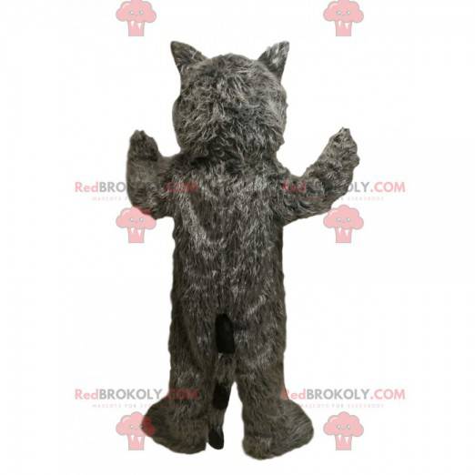 Mascot mapache gris con hermosos ojos azules! - Redbrokoly.com