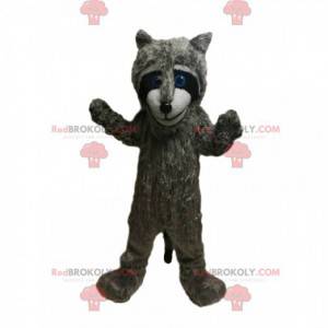 Mascot mapache gris con hermosos ojos azules! - Redbrokoly.com