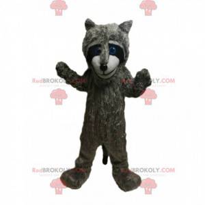 Maskot grå vaskebjørn med smukke blå øjne! - Redbrokoly.com