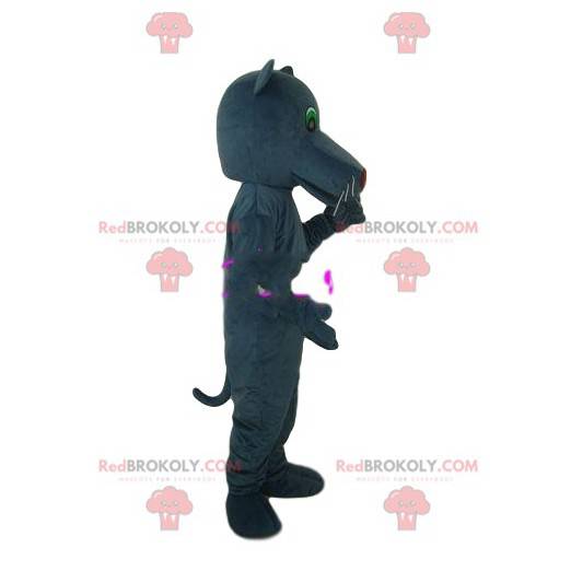 Gray panther mascot with beautiful green eyes. Panther costume