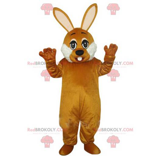 Very cute brown and white rabbit mascot. Bunny costume -