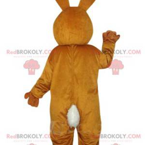 Very cute brown and white rabbit mascot. Bunny costume -