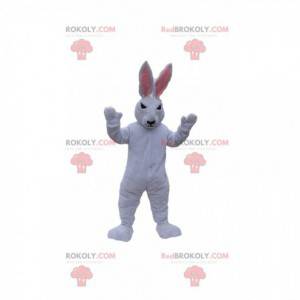 Mascote do coelho branco com um olhar desagradável. Fantasia de