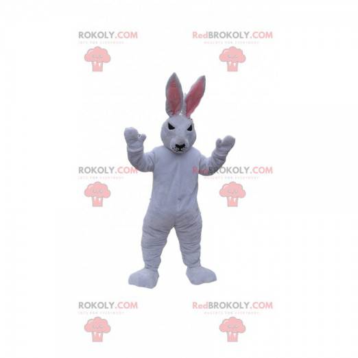 Mascotte de lapin blanc au regard méchant. Costume de lapin -