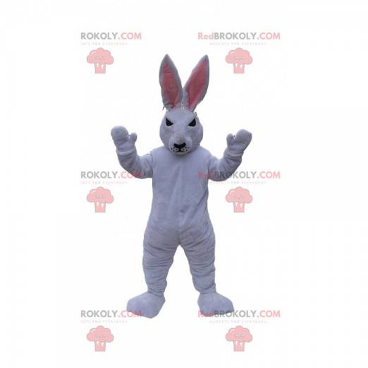 White rabbit mascot with a nasty look. Bunny costume -