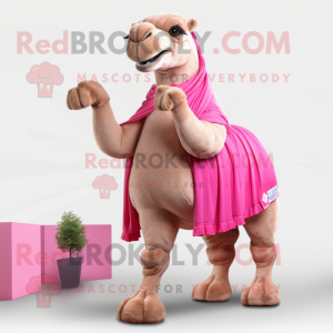 Rosa Camel maskot kostym...