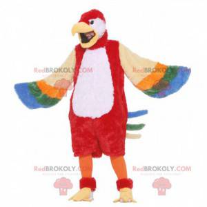 Kæmpe flerfarvet papegøje maskot