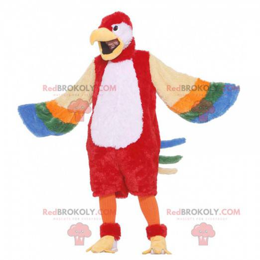 Mascote papagaio gigante multicolorido - Redbrokoly.com