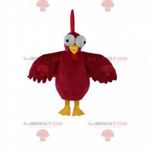Mascota del gallo rojo, con hermoso plumaje y ojos saltones -