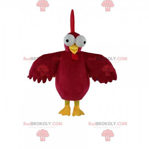 Mascota del gallo rojo, con hermoso plumaje y ojos saltones -