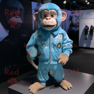 Sky Blue Capuchin Monkey...