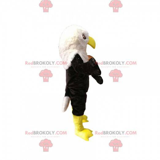 Black and white golden eagle mascot. Eagle costume -