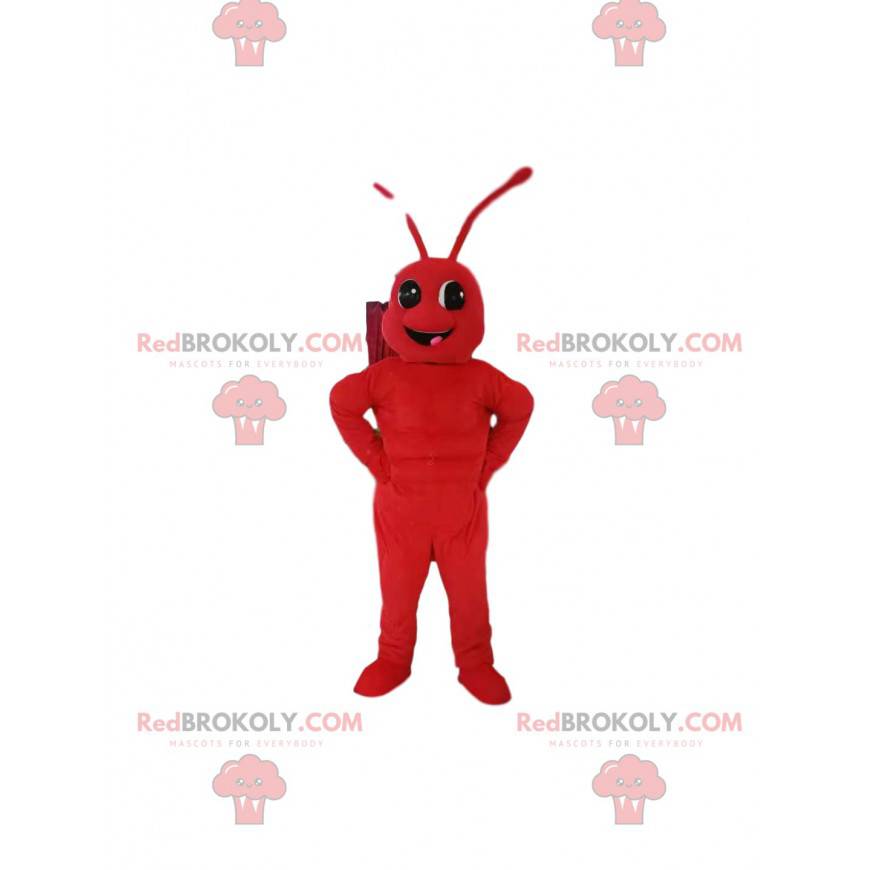 Mascotte della formica rossa. Costume da formica -