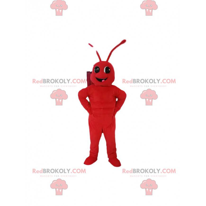 Maskot červený mravenec. Mravenčí kostým - Redbrokoly.com