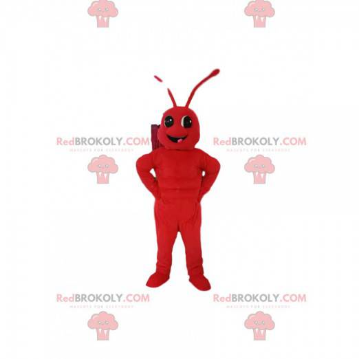 Mascote da formiga vermelha. Fantasia de formiga -