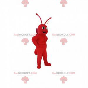 Mascote da formiga vermelha. Fantasia de formiga -