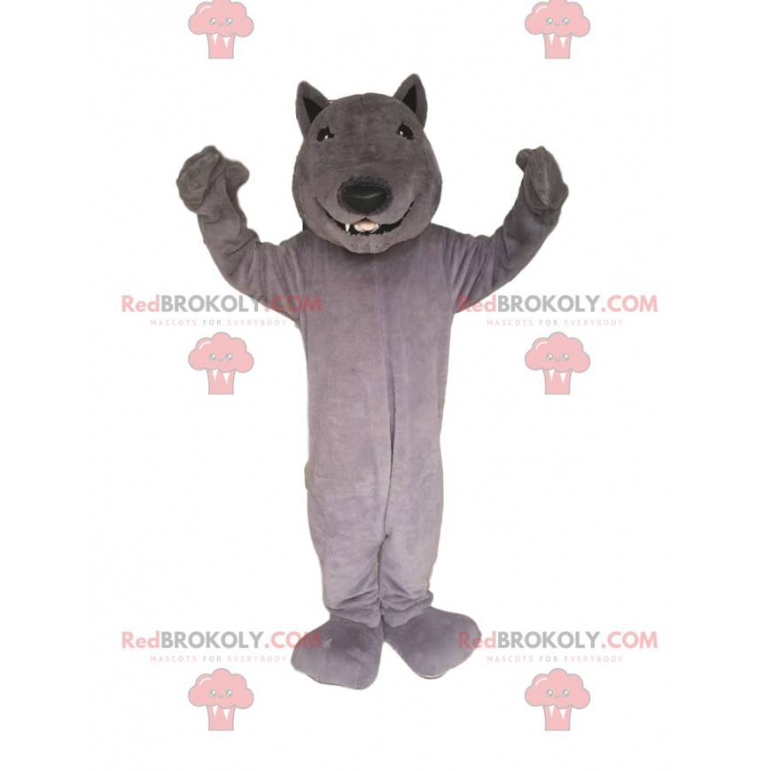 Mascotte del lupo grigio sorridente. Costume da lupo -