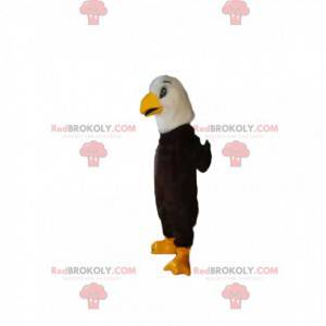 Mascota águila real, con un hermoso pico amarillo -