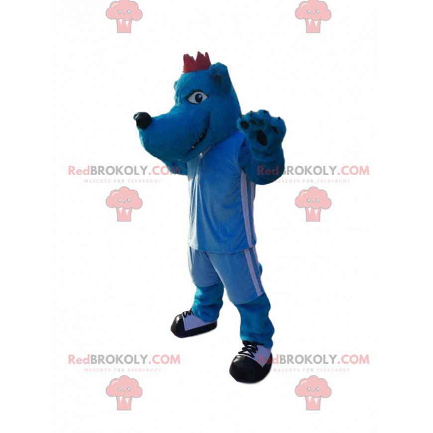 Blue wolf dog mascot in blue sportswear. Wolf costume -