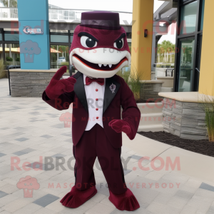 Maroon Barracuda mascotte...