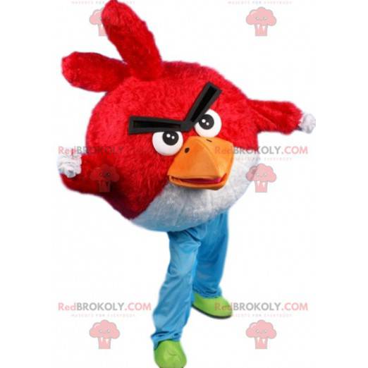 Maskot červený, pták Angry Bird - Redbrokoly.com