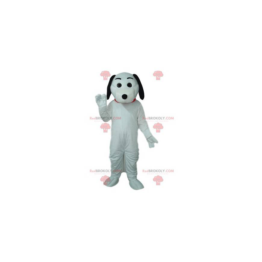 Mascote de cachorro branco, com orelhas pretas. - Redbrokoly.com