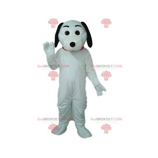 Mascote de cachorro branco, com orelhas pretas. - Redbrokoly.com