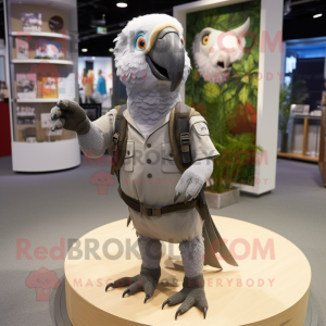 Gray Parrot mascotte...