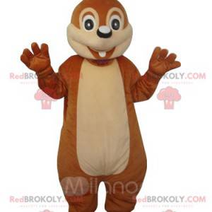 Squirrel mascot amazed. Squirrel costume - Redbrokoly.com