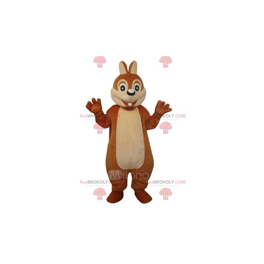 Squirrel mascot amazed. Squirrel costume - Redbrokoly.com