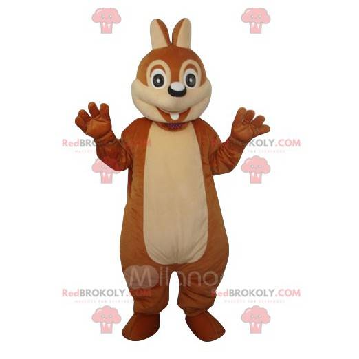 Squirrel mascot amazed. Squirrel costume - Redbrokoly.com