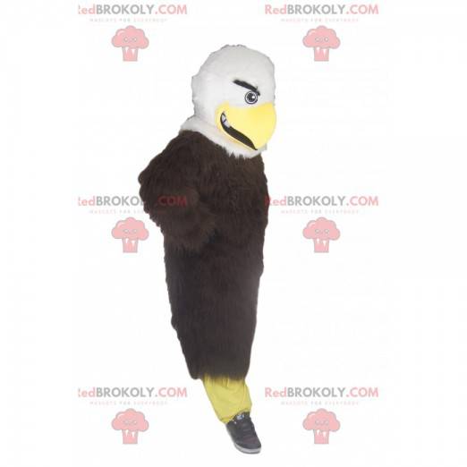 Golden eagle mascot with beautiful plumage. Golden eagle