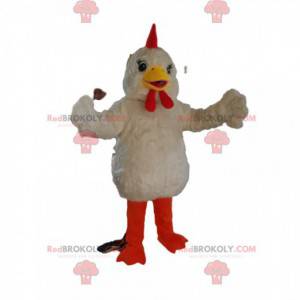Zeer speelse mascotte witte kip, met mooie ogen - Redbrokoly.com