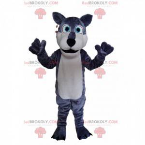 Mascotte de loup gris et blanc, avec des yeux bleus lumineux! -