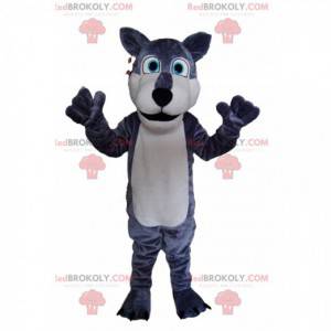 Šedý a bílý vlk maskot, s jasně modrýma očima! - Redbrokoly.com
