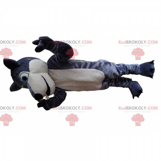 Gray and white wolf mascot, with bright blue eyes! -