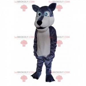 Gray and white wolf mascot, with bright blue eyes! -
