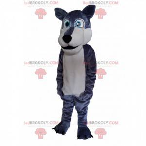 Mascotte grijze en witte wolf, met heldere blauwe ogen! -