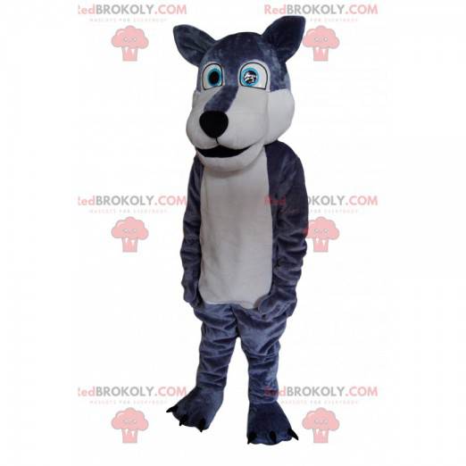 Mascotte de loup gris et blanc, avec des yeux bleus lumineux! -