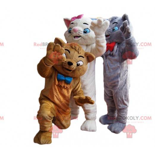 Gray, white and brown cats mascot trio - Redbrokoly.com