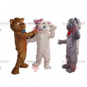 Trio de mascotes de gatos cinzentos, brancos e marrons -