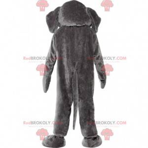 Gray and white elephant mascot with a large trunk -